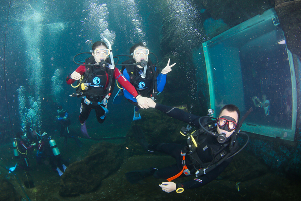 12/12正式上線！PADI 最新課程【休閑潛水員Resort Diver】 丨 一天拿證，潛遍全球