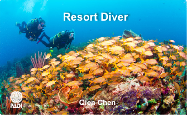 12/12正式上線！PADI 最新課程【休閑潛水員Resort Diver】 丨 一天拿證，潛遍全球