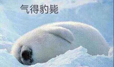 原來你是這樣的潛水員妹子！